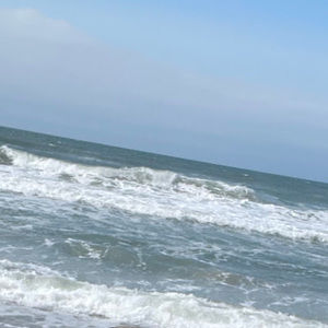 Meet your Posher, Annabelle